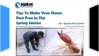 Tips To Make Your Home Pest Free In The Spring Season | Squeak Pest Control