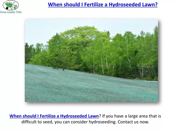 when should i fertilize a hydroseeded lawn