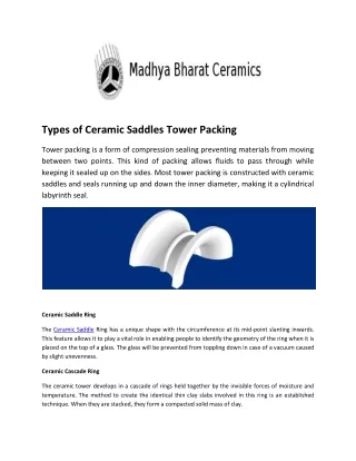 Types of Ceramic Saddles Tower Packing