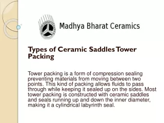 Types of Ceramic Saddles Tower Packing ppt.