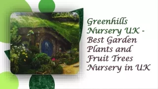 Best Place to Buy Garden Plants and Fruit Trees in UK - Greenhills Nursery Ltd