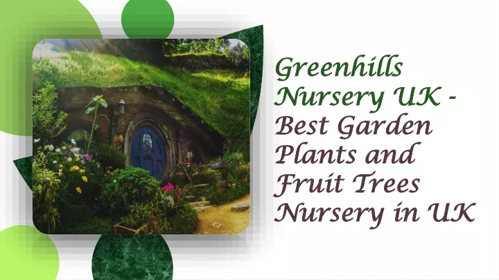 greenhills nursery uk best garden plants and fruit trees nursery in uk
