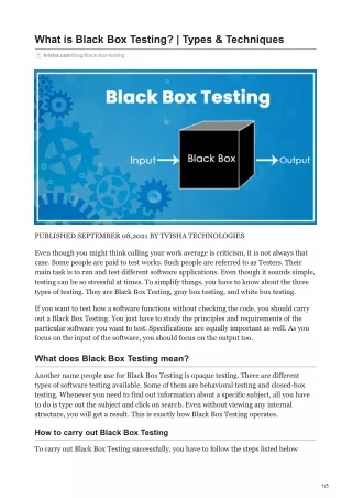 What is Black Box Testing  Types amp Techniques