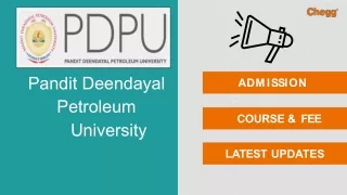 pandit deendayal petroleum university