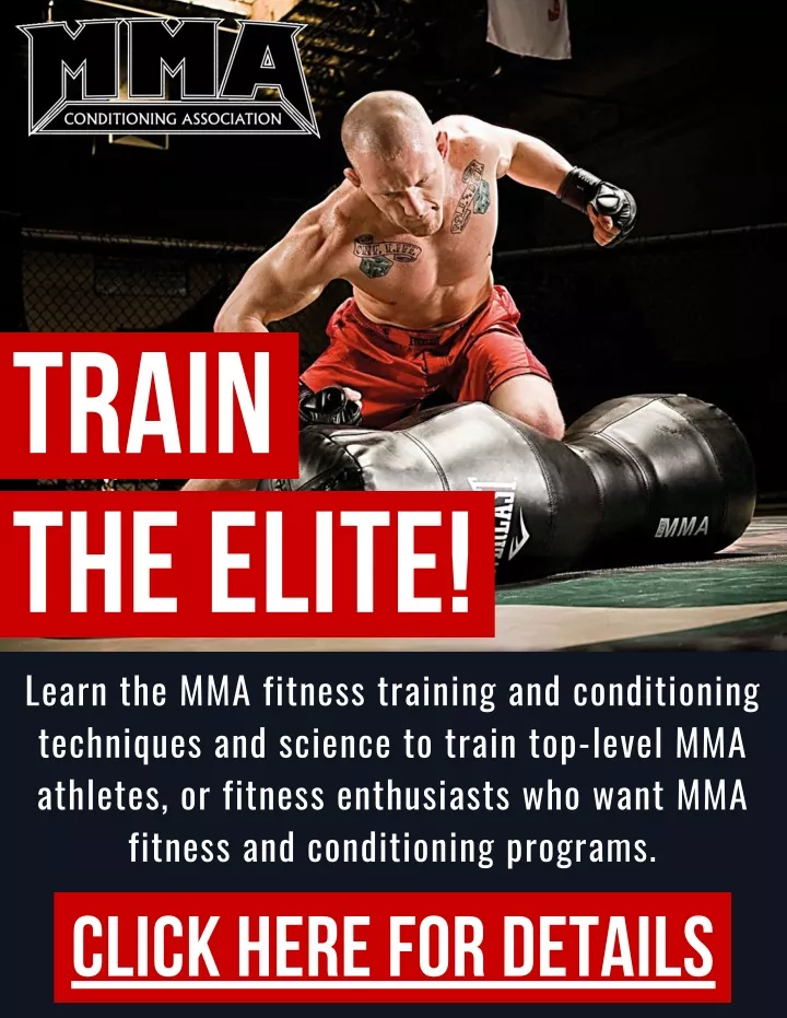 train the elite learn the mma fitness training