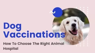 Dog Vaccinations - How To Choose The Right Animal Hospital
