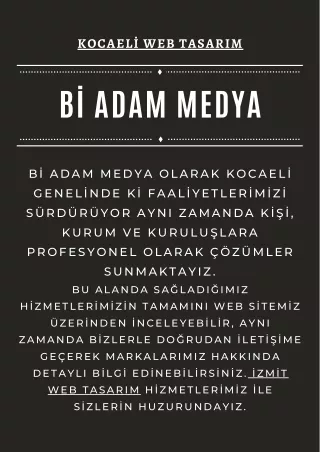 Kocaeli web tasarım firmaları