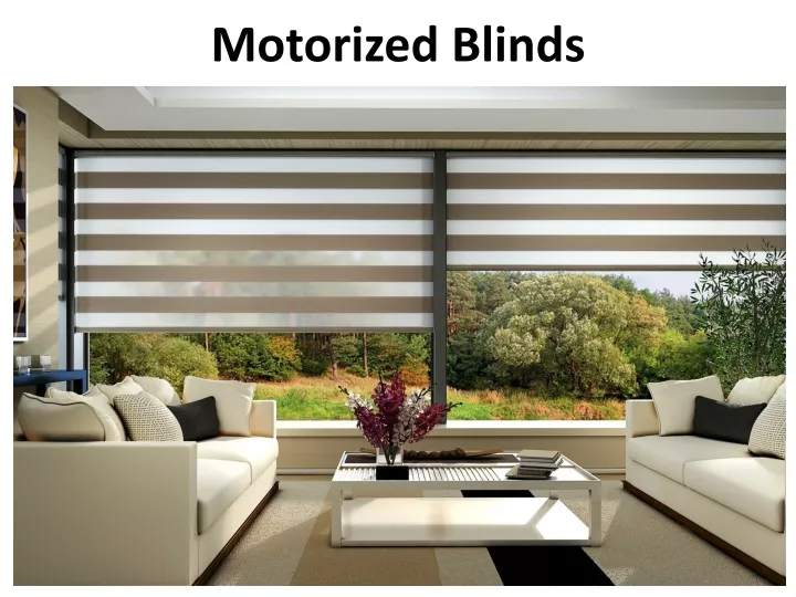 motorized blinds