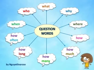 Question Words