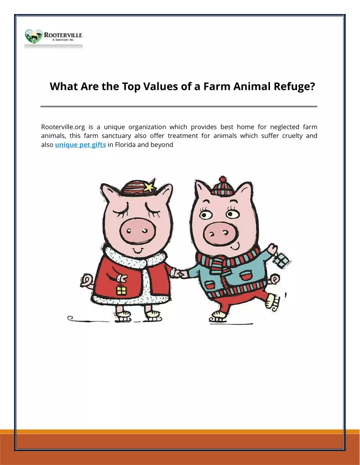 what are the top values of a farm animal refuge