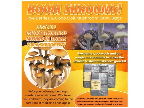 Penis Envy Mushrooms and Albino Penis Envy – Definitely TMI about the penis envy mushroom strain