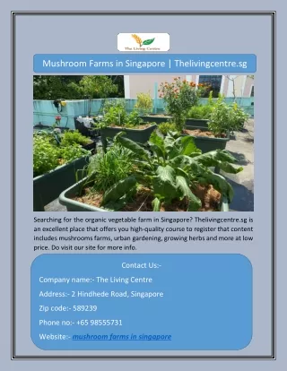 Mushroom Farms in Singapore | Thelivingcentre.sg
