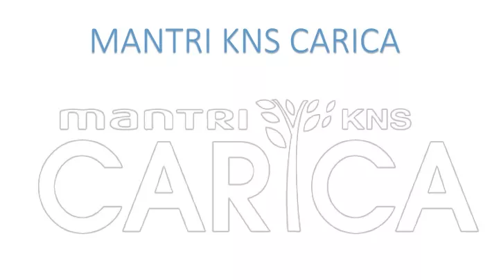 mantri kns carica