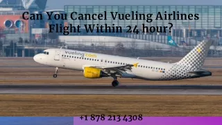 can you cancel vueling airlines flight within 24 hour