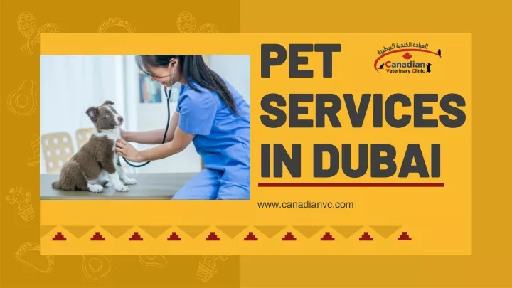 pet services in dubai