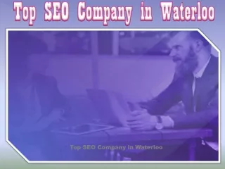 top seo company in waterloo