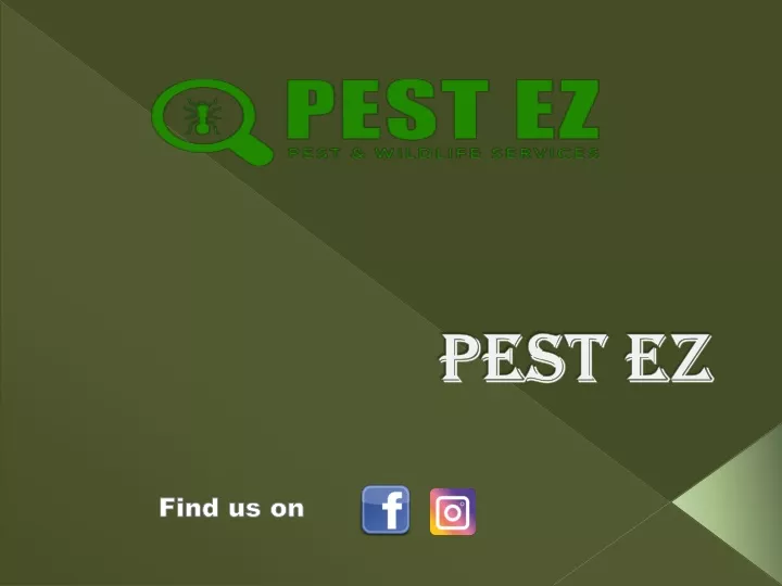 pest ez