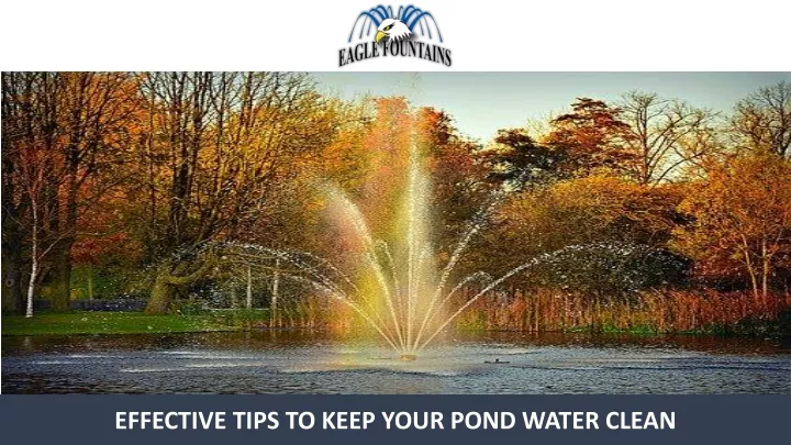 effective tips to keep your pond water clean
