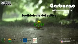 Ecofisiologia de garbanzo