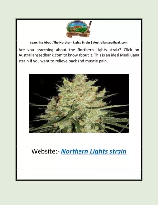 Searching About The Northern Lights Strain | Australianseedbank.com