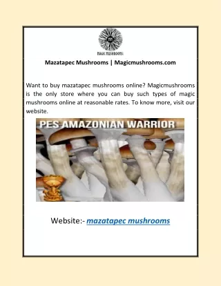 Mazatapec Mushrooms | Magicmushrooms.com