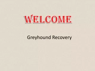 welcome