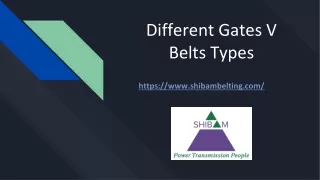 different gates v belts types