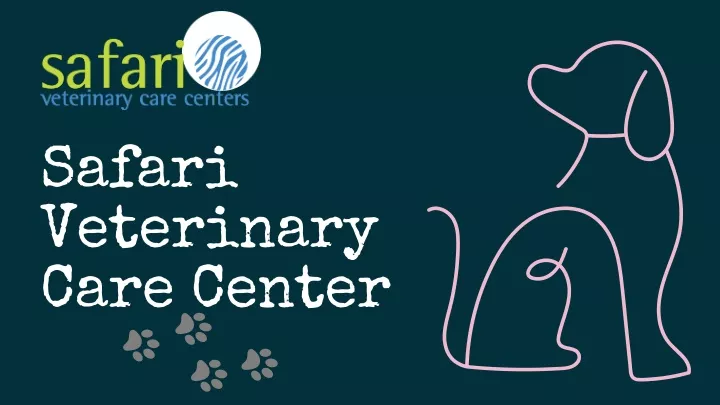 safari veterinary care center