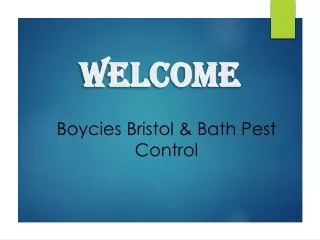 welcome