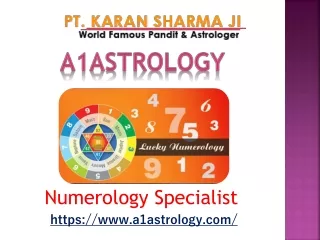 Numerology Specialist - ( 91–9915014230) - Pt. Karan Sharma