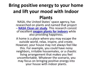 Bring positive energy to your home and lift your mood with Indoor Plants