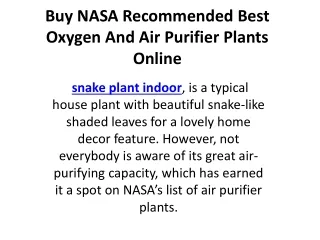 air purifier plants, air purifier plants for home, LifeOxy, lifeoxy plants, NASA