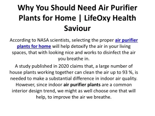 Why You Should Need Air Purifier Plants for Home | LifeOxy Health Saviour