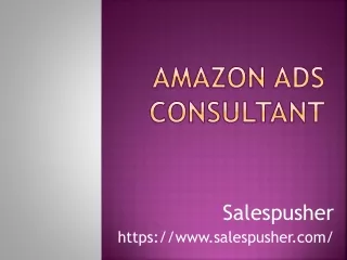 amazon ads consultant