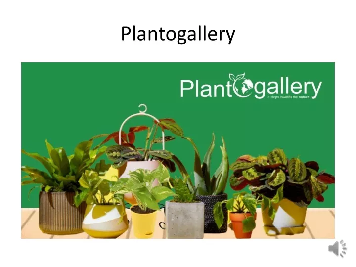 plantogallery