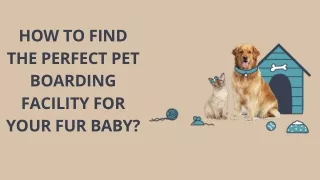 HOW TO FIND THE PERFECT PET BOARDING FACILITY FOR YOUR FUR BABY?