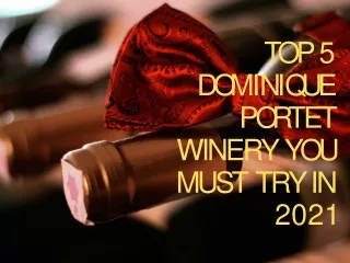 Top 5 Dominique Portet Winery You Must Try in 2021