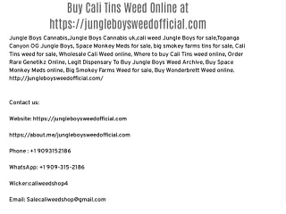 Buy Cali Tins Weed Online at https://jungleboysweedofficial.com