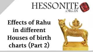 Effects of Rahu in different Houses of birth charts (Part 2)