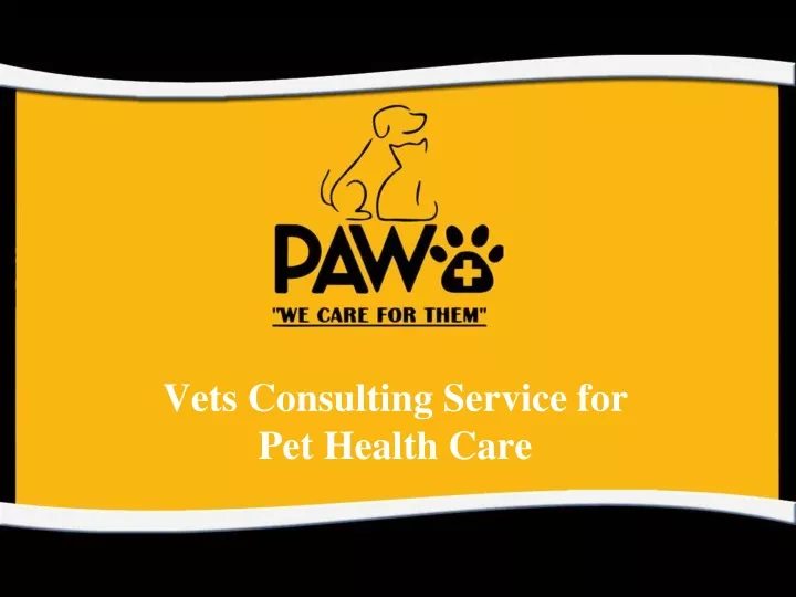 vets consulting service for pet health care