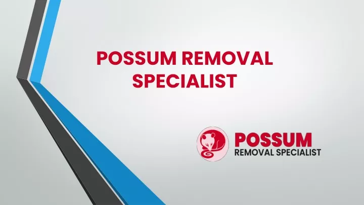 possum removal specialist