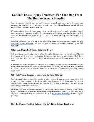 Get Soft Tissue Injury Treatment For Your Dog From The Best Veterinary Hospital