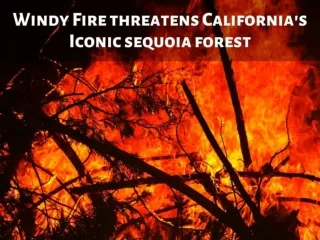 Windy Fire threatens California's iconic sequoia forest