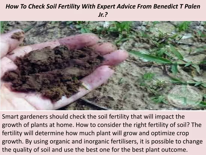 how to check soil fertility with expert advice from benedict t palen jr