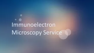Immunoelectron Microscopy Service