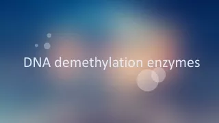DNA demethylation enzymes