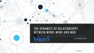 The Dynamics of Relationships Between MVNO, MVNE