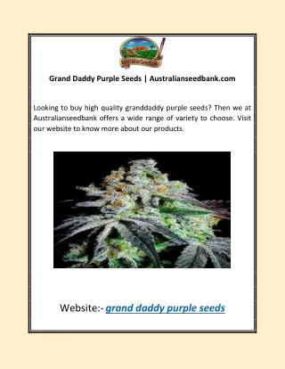 Grand Daddy Purple Seeds | Australianseedbank.com