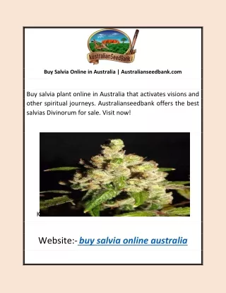 Buy Salvia Online in Australia | Australianseedbank.com