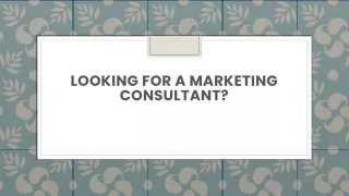 looking for a marketing consultant